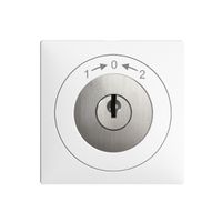 UP-Schwenktaster 1->0<-2 EDIZIOdue weiss mit Sicherheitsschloss