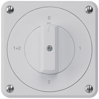 UP-Drehschalter robusto IP55 S1/1P grau für Kombination