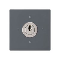 Einsatz zu Schlüsselschalter kallysto 0/1L anthrazit mit Schloss Kaba 8