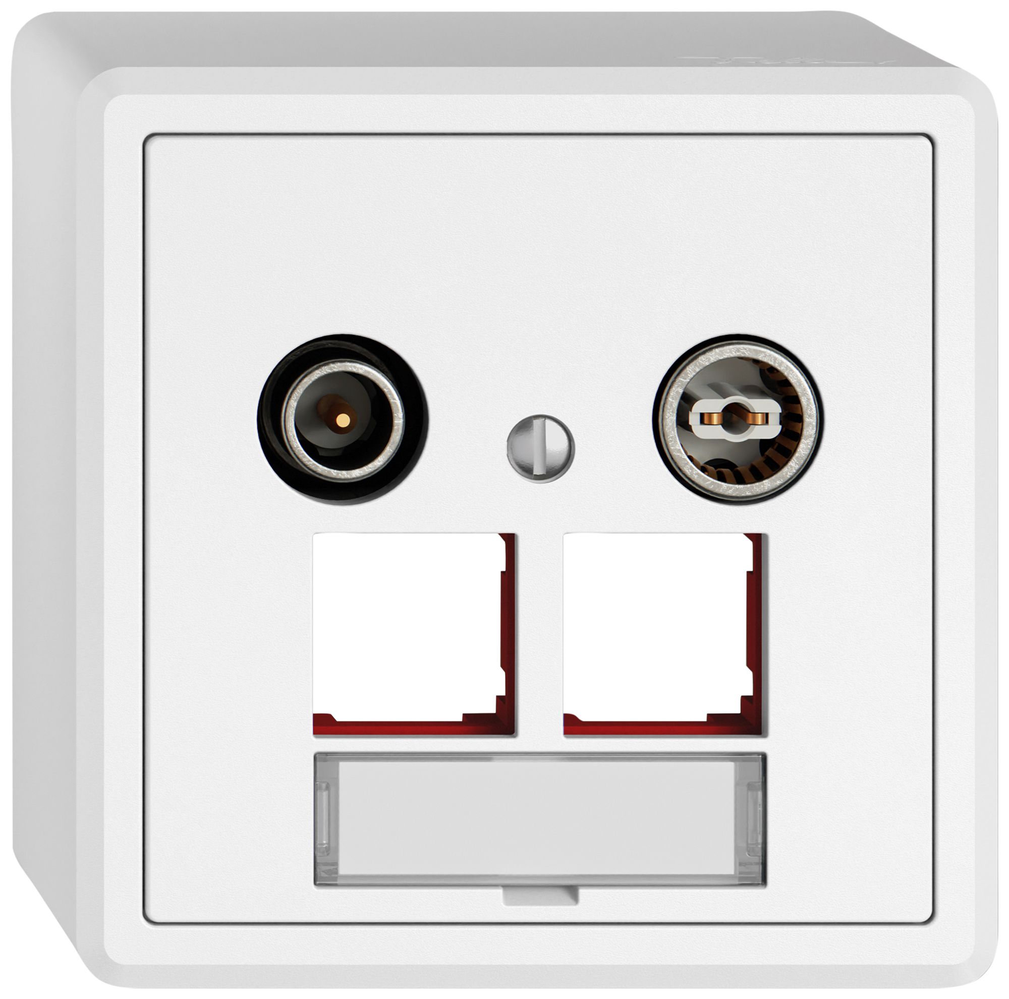 Prise multimédia AP TV-R EDIZIO.liv SNAPFIX® EASYNET p.2×RJ45 S-One 11dB bc