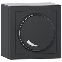 AP-Dimmer Sidus 1…10V anthrazit