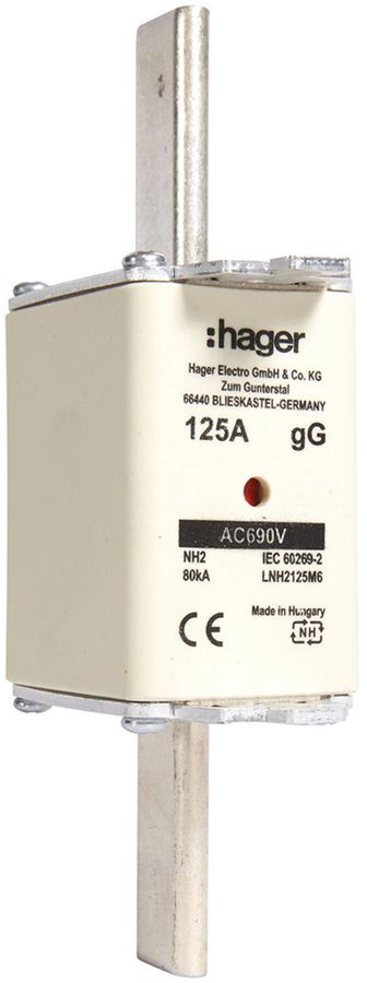 Fusible HPC Hager DIN2c 690VAC 125A gG/gL avertisseur double inoxydable