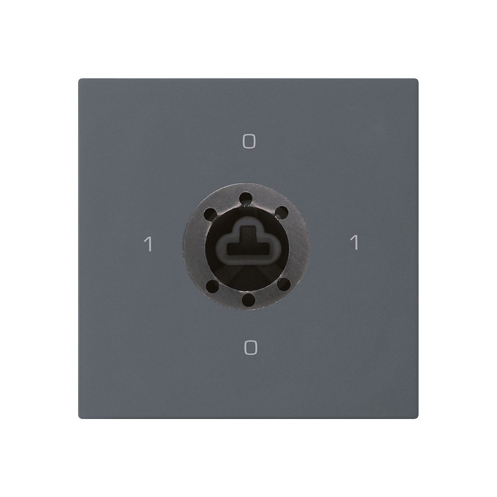 Intérieur interrupteur à clé kallysto 0/1L anthracite serrure sûreté s.cylindre