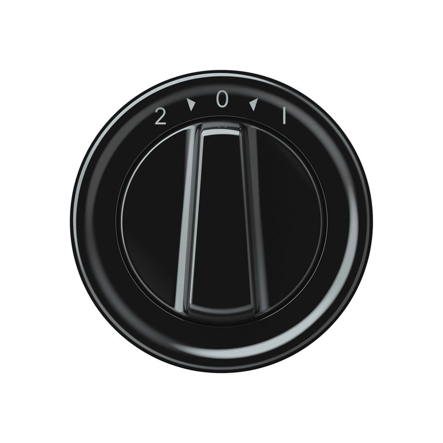 Schwenktaster origin 1P 0<1 10A 230V 60×60mm schwarz