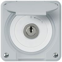 UP-Schlüsselschwenktaster robusto IP55 grau mit Deckel 1P für Kombination