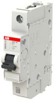 Disjoncteur SMISSLINE TP S 1×1A C 10kA