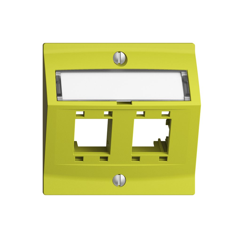 Kit de montage EDIZIOdue, avec capot de sortie oblique, pour 2×RJ45, lemon