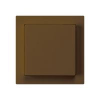 UP-Taster kallysto AR braun