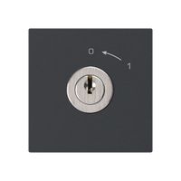 Schwenktaster 0<-1/1L schwarz kallysto mit Schloss Kaba 8