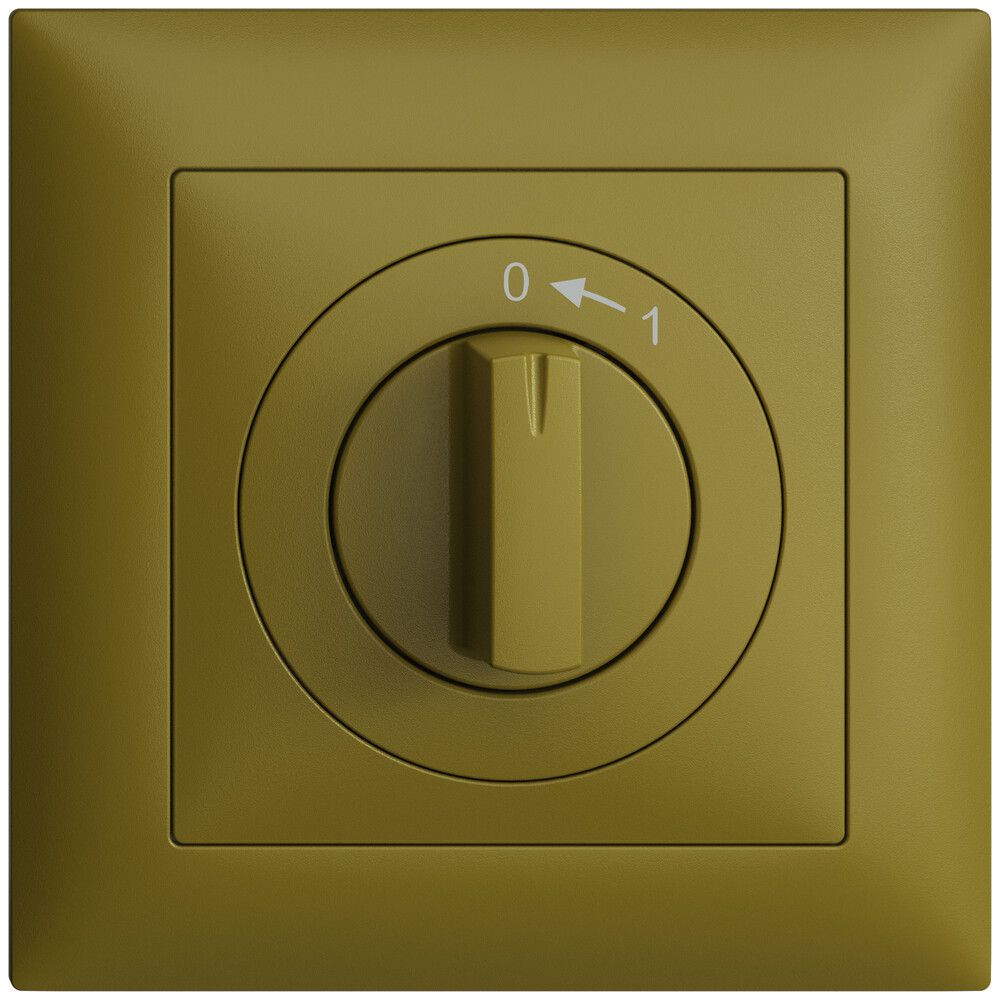 Frontset EDIZIOdue 0<-1 olive 88×88mm für Schwenktaster