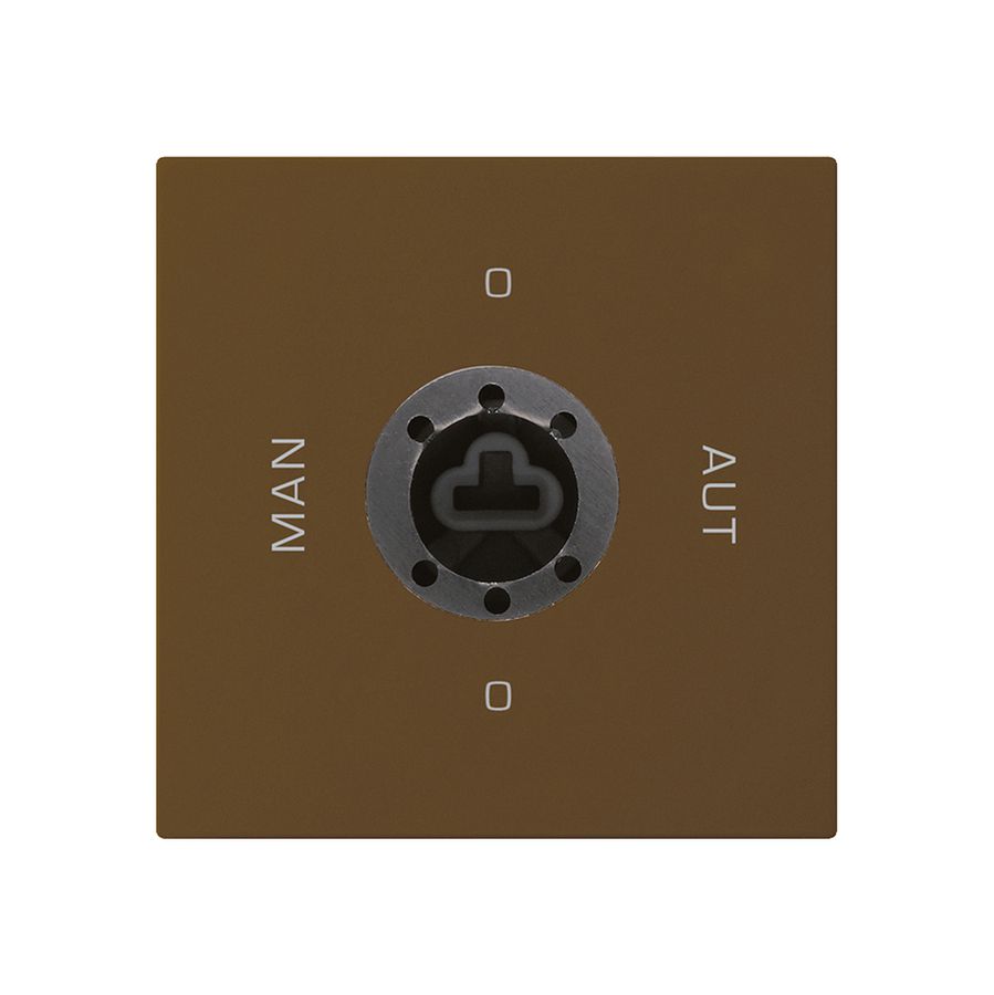 Intérieur interrupteur à clé 0-Man-0-Aut. brun kallysto 2/1P pour serrure