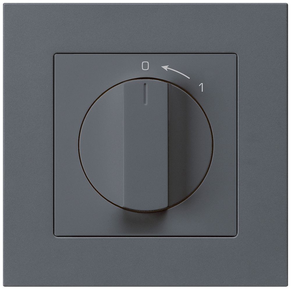UP-SchwenkTaster 0<-1/1L anthrazit kallysto.pro mit Drehgriff