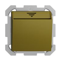 Interrupteur Hotelcard ENC 250VAC 1L EDIZIOdue olive