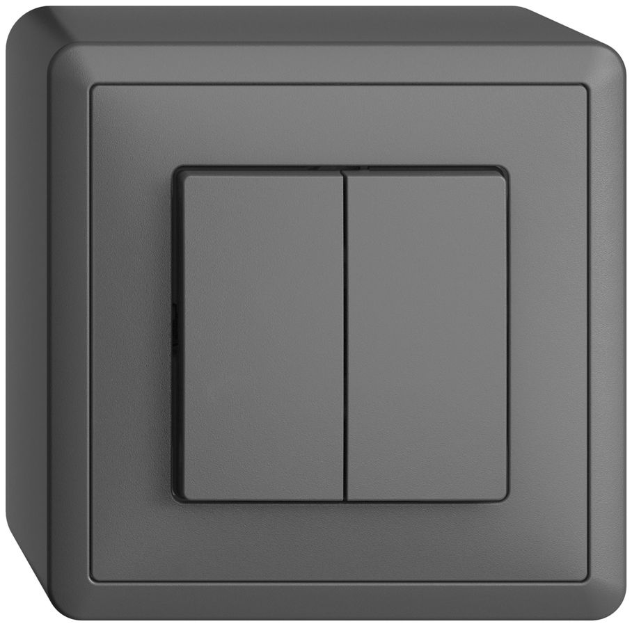 AP-Taster EDIZIOdue 2×A-R/1P dunkelgrau