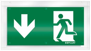 Plaque avec pictogramme ESYLUX pour SLX flèche vers la bas