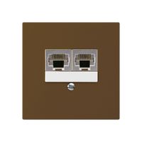 UP-Dose kallysto 2×RJ45s parallel braun