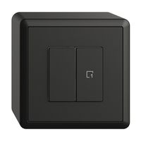 Stazione secondaria AP 1K/2T per interruttore scena Edue Wiser nero