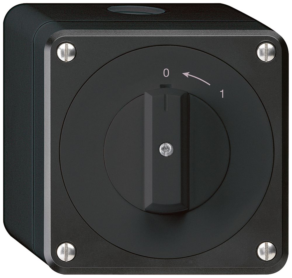 AP-Schwenktaster robusto IP55 schwarz 1P