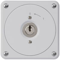 UP-Schlüsselschwenktaster robusto grau ohne Deckel 2P für Kombination