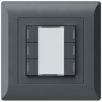 Poussoir ENC kallysto.line KNX 6×anthracite LED RGB s/e-link