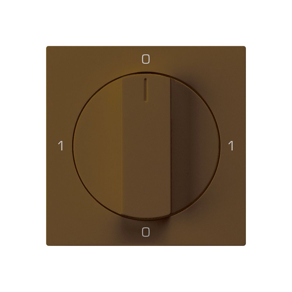 Einsatz zu Drehschalter kallysto 0/2L br mit Drehgriff