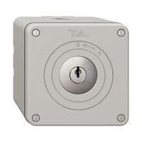 NAPU-Schwenktaster NEVO, mit Schloss&2 Schlüsseln, KS, 0 <- 1, lichtgrau