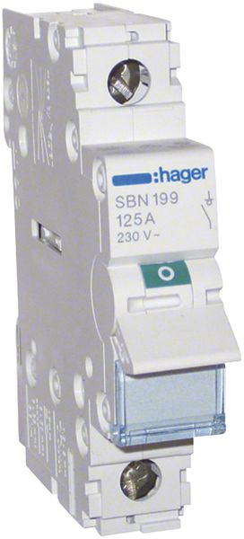 REG-Ausschalter Hager 125A 230V 1 Schliesser 0 Öffner 0 Wechsler 1TE