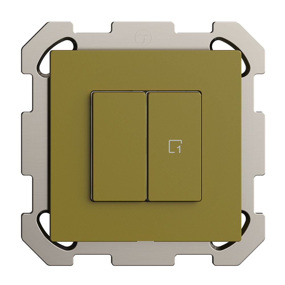 Interrupteur ENC 1K/2T scène WLAN Edue Wiser olive