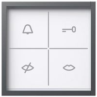 Modulo indicatore di stato Siedle, con feedback ottico e acustico, grigio