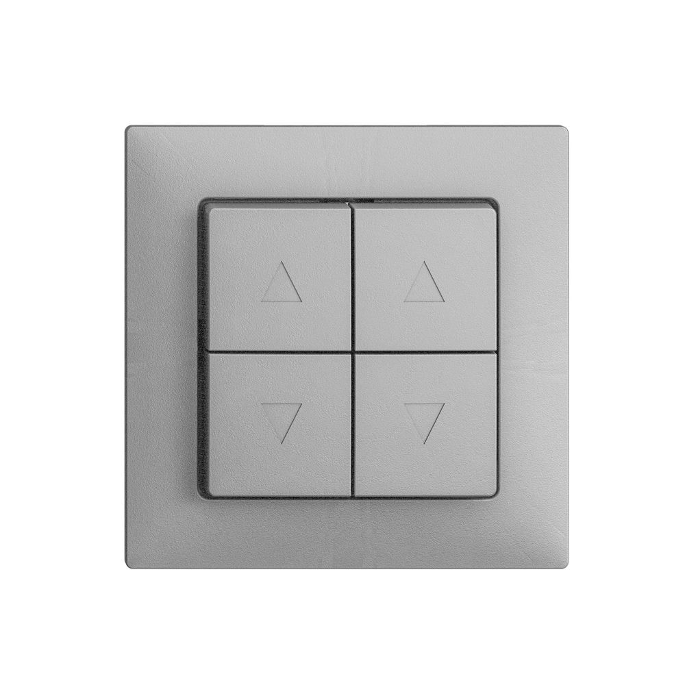 UP-Storentaster EDIZIOdue F silver 2-Kanäle