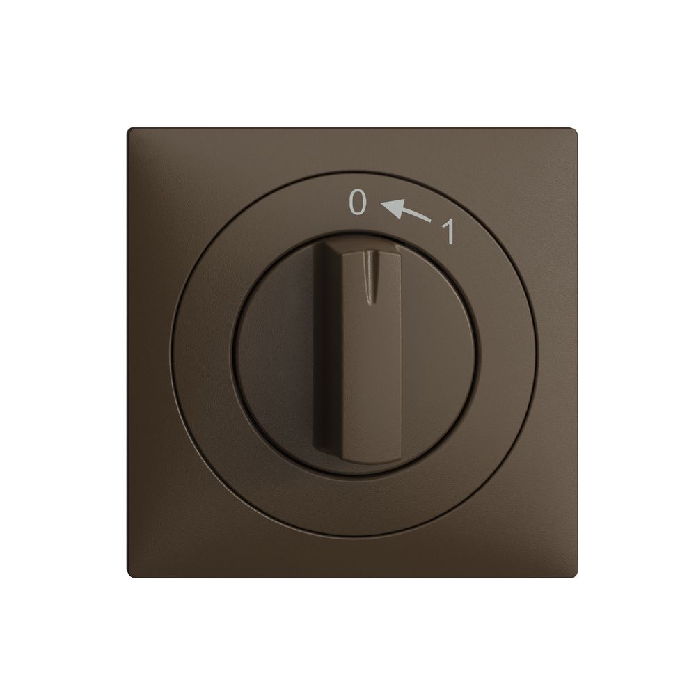 Frontset EDIZIOdue 0<-1 coffee 60×60mm für Schwenktaster