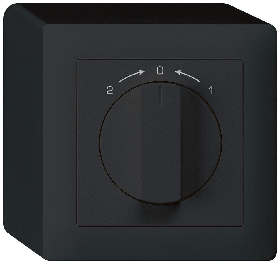 AP-Schwenktaster 1->0<-2 schwarz kallysto mit Drehgriff