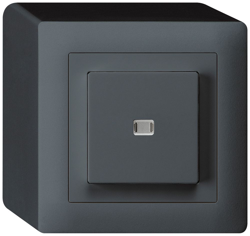 AP-Leuchtdruckschalter kallysto 6/1L anthrazit
