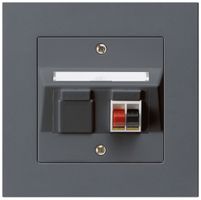 Prise ENC audio kallysto.pro 1×anthracite borne à étrier pour 1 haut-parleur