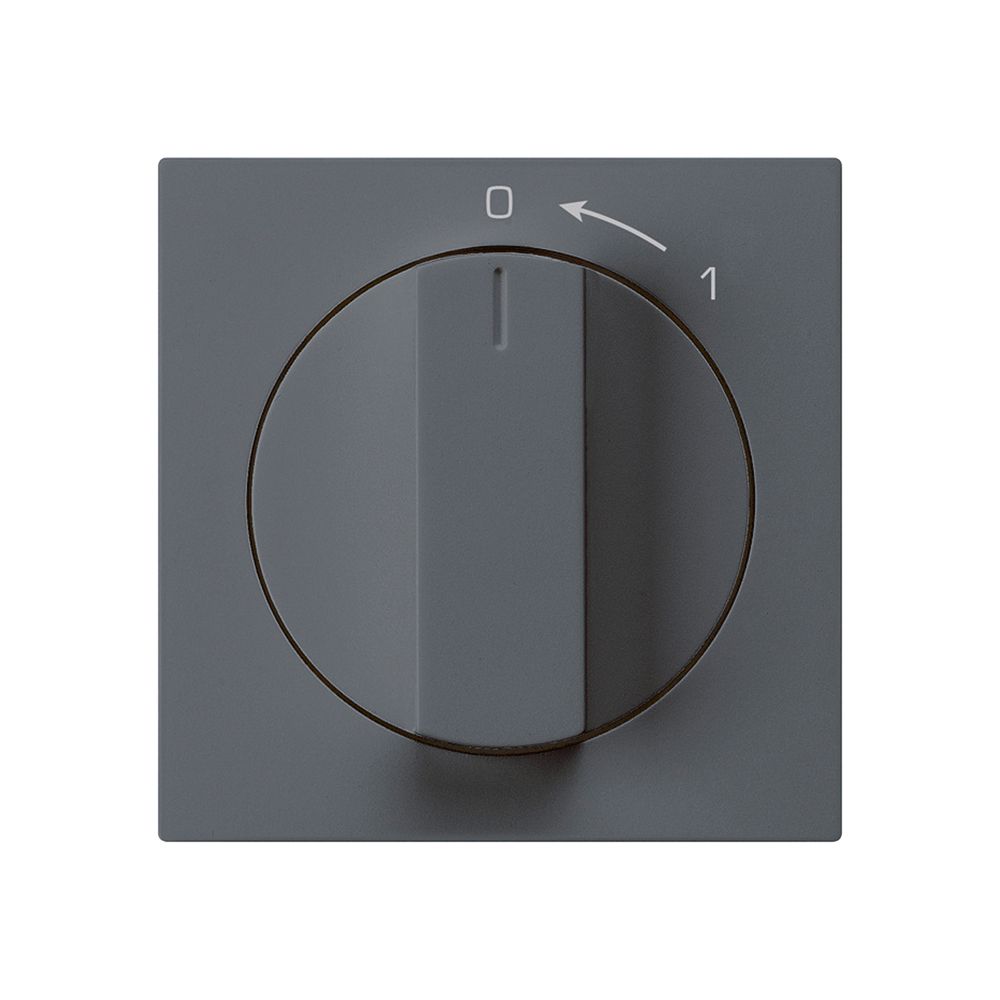 Schwenktaster 0<-1/1L anthrazit kallysto mit Drehgriff