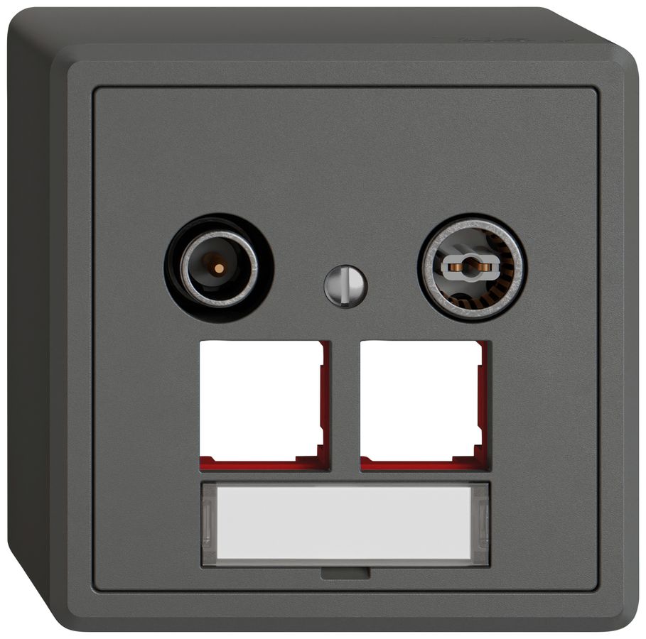 Prise multimédia AP TV-R EDIZIO.liv SNAPFIX® EASYNET p.2×RJ45 S-One 4dB grf