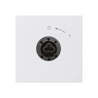 SchwenkTaster 0<-1/2L weiss kallysto für Schloss ohne Zylind