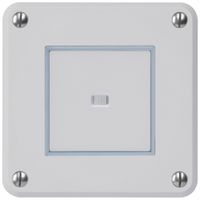 Contatto pulsante INC robusto IP55 2P grigio illuminato