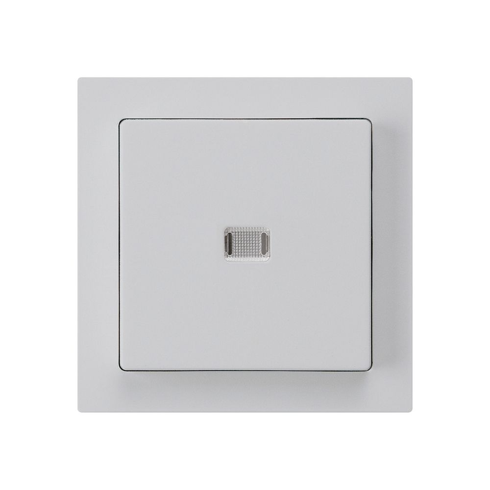 UP-Leuchttaster kallysto ARK hellgrau