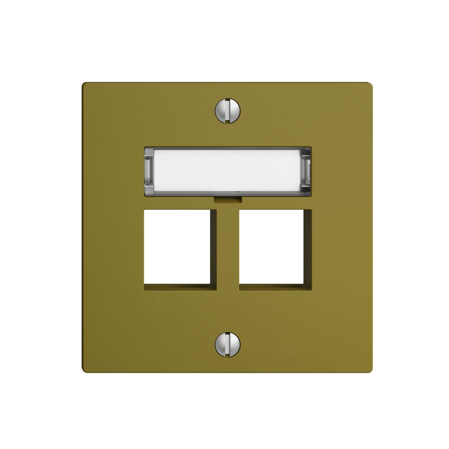 Kit de montage EDIZIOdue F, sortie droite, pour 2×Keystone, olive