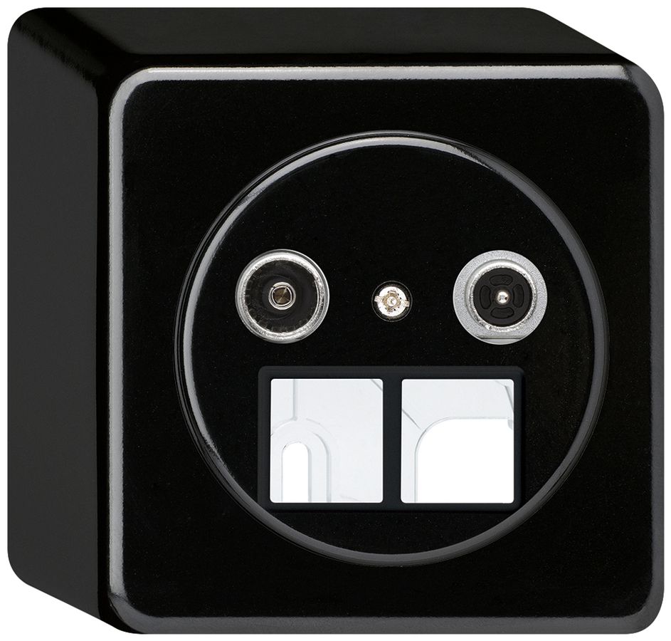 AP-Multimediadose basico TV-R 4dB 2GHz schwarz