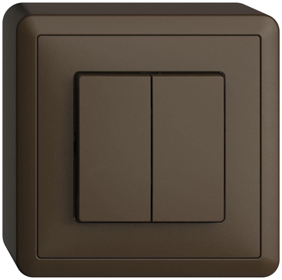 AP-Taster EDIZIOdue 2×A-R/1P coffee