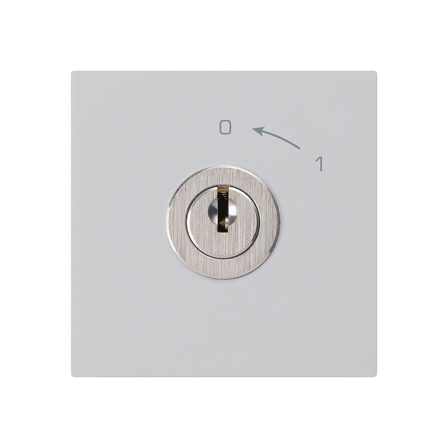 Schwenktaster 0<-1/2L hellgrau kallysto mit Schloss Kaba 8