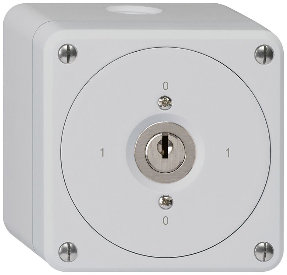 Interruttore a chiave AP robusto senza copertura 0/3P grigio