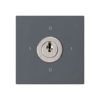 Einsatz zu Schlüsselschalter kallysto 0/2L anthrazit mit Schloss Kaba 8