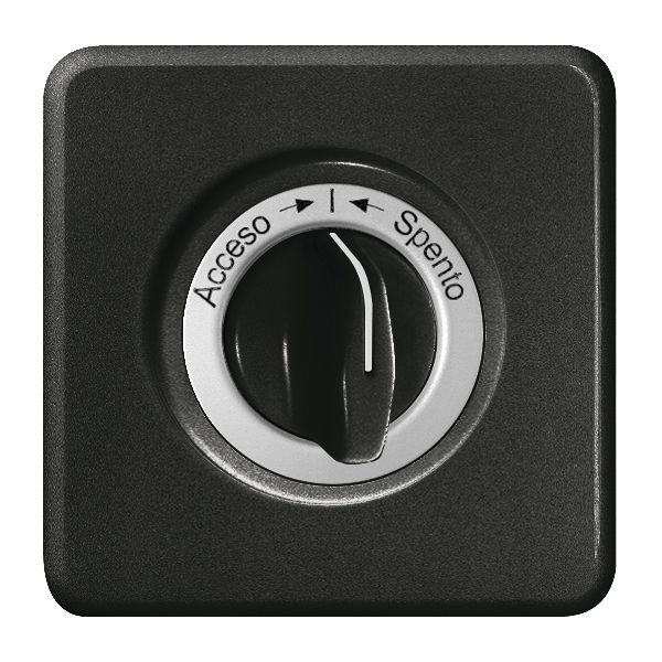 Frontset Accesso-I-Spento schwarz für Schwenktaster FH