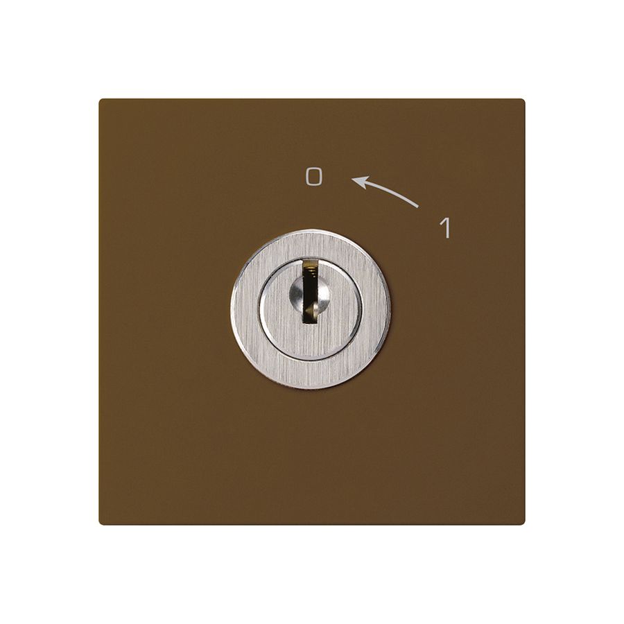 Schwenktaster 0<-1/1L braun kallysto mit Schloss Kaba 8