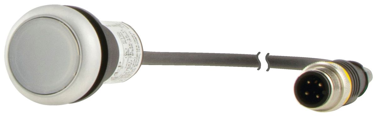 Pulsante luminoso Eaton C22-DL-W-K10-24-P1 piatto bianco Ø22.5mm 1NO IP67/IP69K