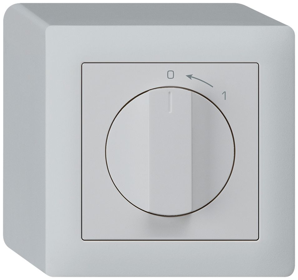 AP-Schwenktaster 0<-1/2L hellgrau kallysto mit Drehgriff