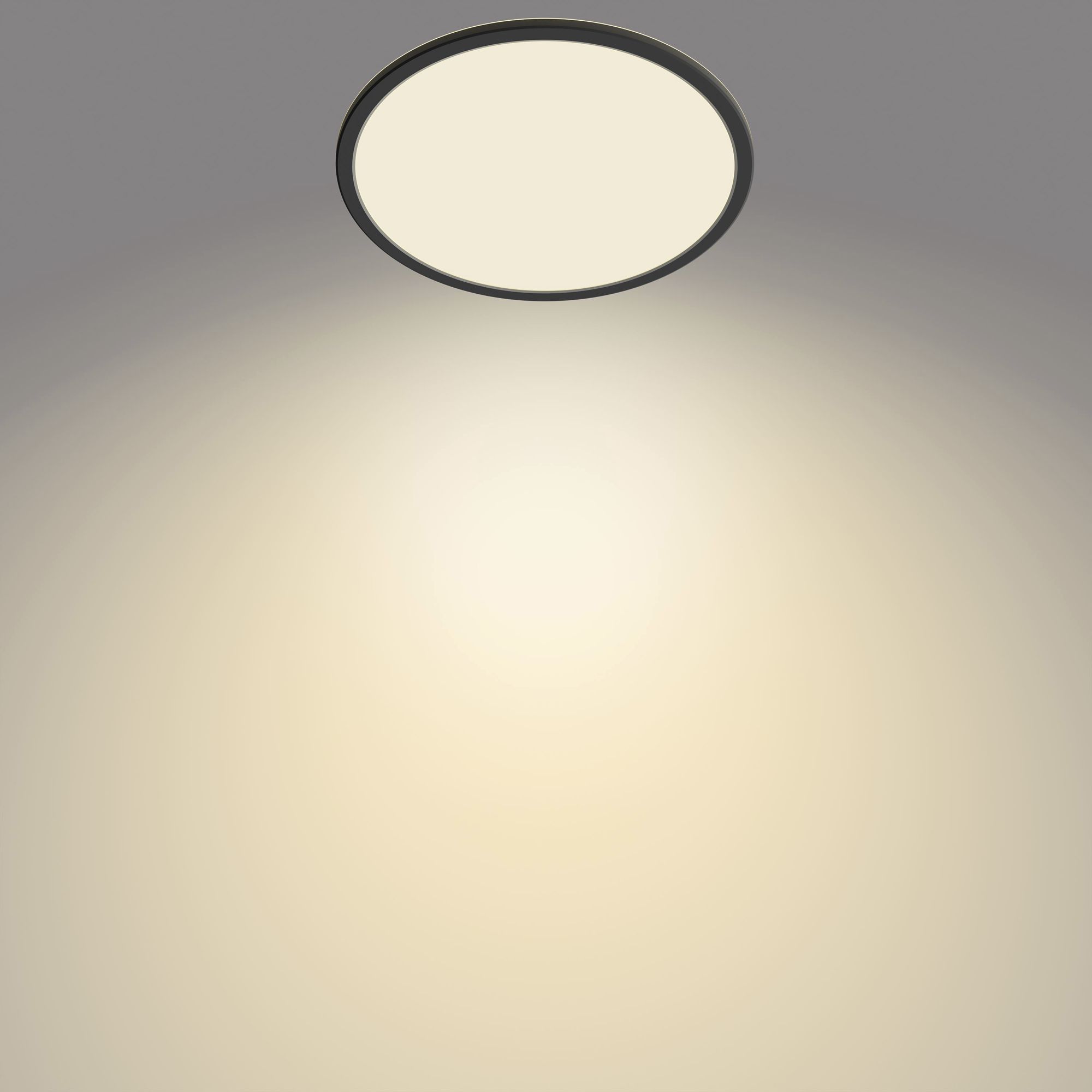 LED-Deckenleuchte Philips SceneSwitch 18W 1500lm 2700K IP44 DIM Ø300mm schwarz